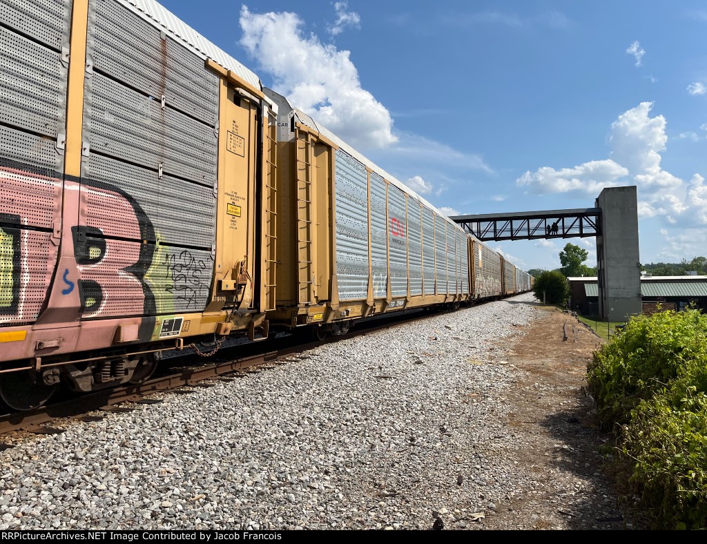TTGX 709604